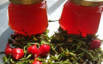 Dicas de Cultivo de Pimentas Biquinho