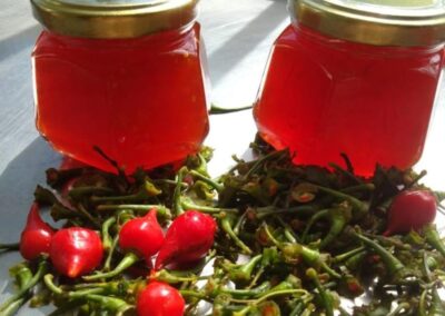 pimenta biquinho