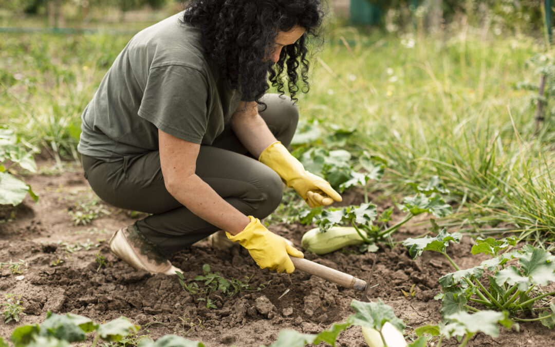 Sustentabilidade em Ação: Como a Associação Promove o Uso Responsável dos Recursos Naturais
