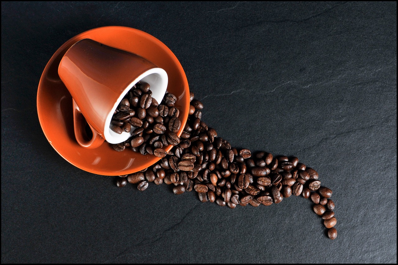 semana mundial do café