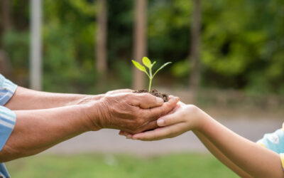 Sustentabilidade em Ação: Como a Associação AHOBERO Promove o Uso Responsável dos Recursos Naturais