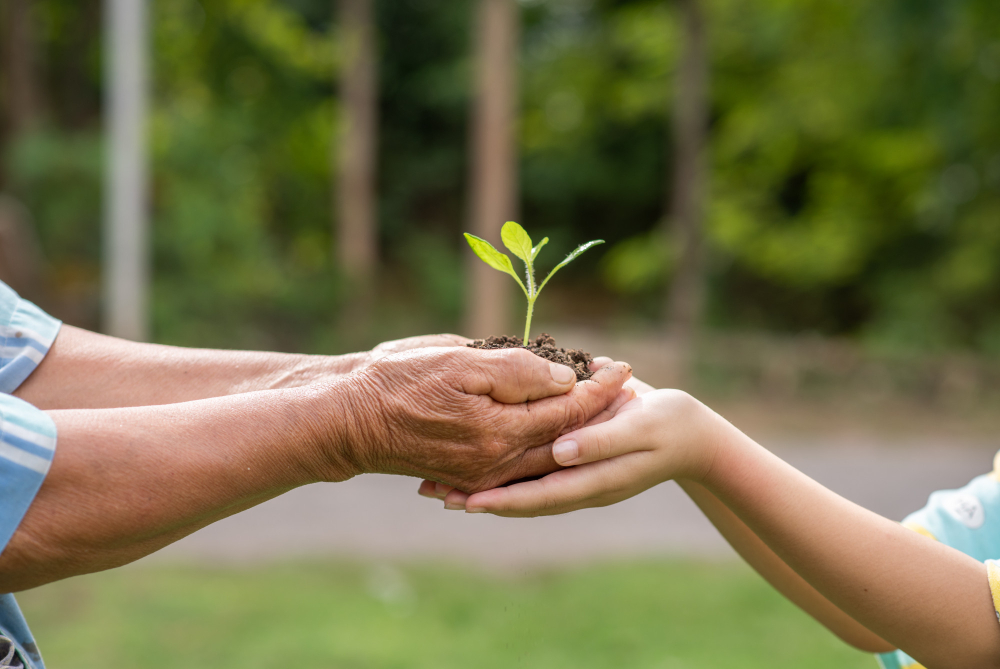 Sustentabilidade em Ação: Como a Associação AHOBERO Promove o Uso Responsável dos Recursos Naturais