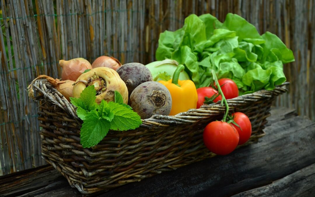 Os Benefícios dos Alimentos Frescos e Locais