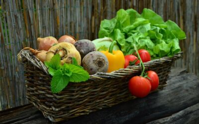 Os Benefícios dos Alimentos Frescos e Locais