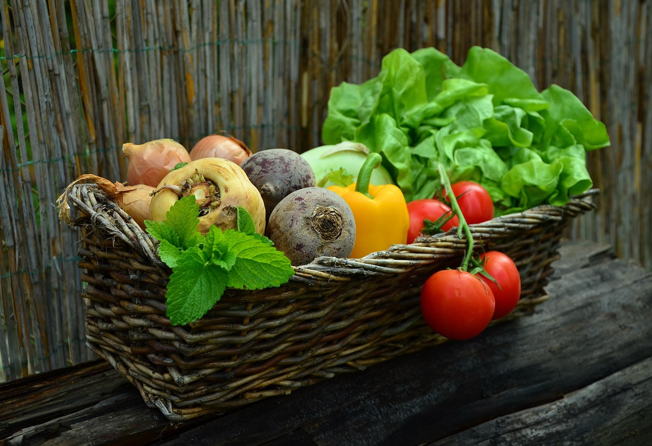 alimentos frescos